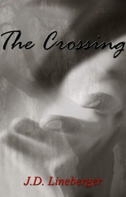 The Crossing (Book 1) cover