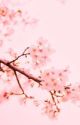 🌸Cherry Blossoms🌸 by Animenerdinajar