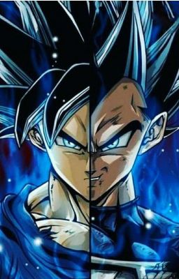 Two Saiyans cover