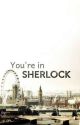 You're in Sherlock (Sherlock × Reader) by allibunn