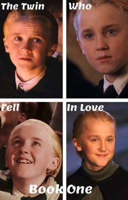 The Twin Who Fell In Love / Draco Malfoy Book One cover