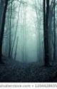 Deep in the woods, and on a lake wattys 2023 by Priceisrightrusher