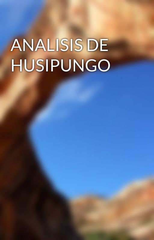 ANALISIS DE HUSIPUNGO by KotouraQC1315