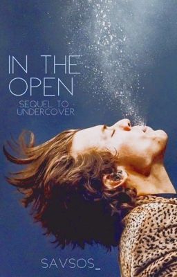 In the Open | Harry Styles | Sequel to Undercover cover