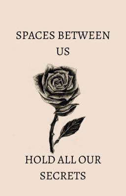 Spaces Between Us- Hold All Our Secrets (ZARRY AU) cover