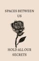 Spaces Between Us- Hold All Our Secrets (ZARRY AU) by LorelaiG2000