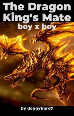 The Dragon King's Mate (boy x boy) cover