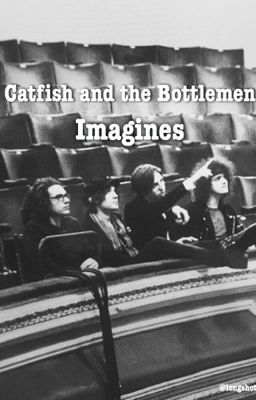 Catfish and the Bottlemen || Imagines  cover