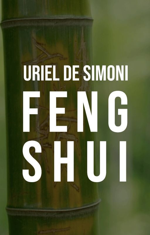 Feng Shui by urieldesimoni