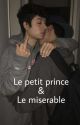 Le Petit Prince & Le Miserable [bxb]  by cloriuss