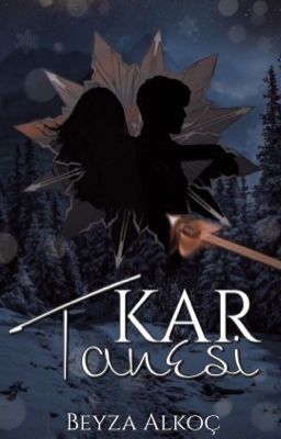 Kar Küresi (İki Kitap) cover