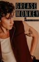 Grease Monkey | shawnmendes by heyniallerhoran