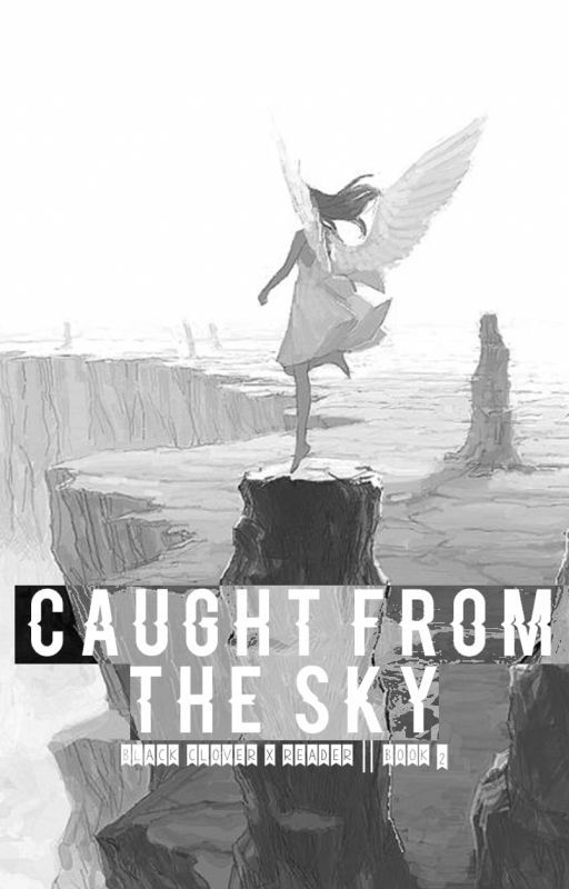 ||Caught From The Sky|| BC x Reader || BOOK 2 || by melodichii