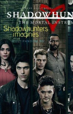 Shadowhunter  Prefrences  cover