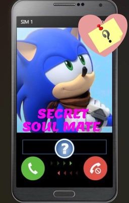 Secret Soul Mate cover