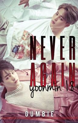 Never Again [Yoonmin 18 ] cover