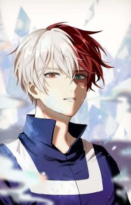 It's Your Quirk. (Shoto todoroki x Reader) cover