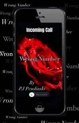 Wrong Number [18 ] cover