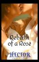 Rebirth of a Rose by frostfujoshi