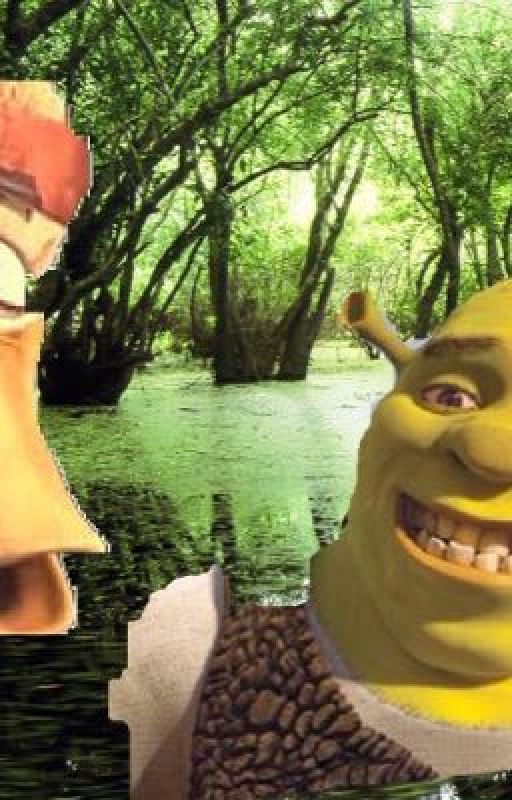 Mr Ping X Shrek  by Mr_Ping_