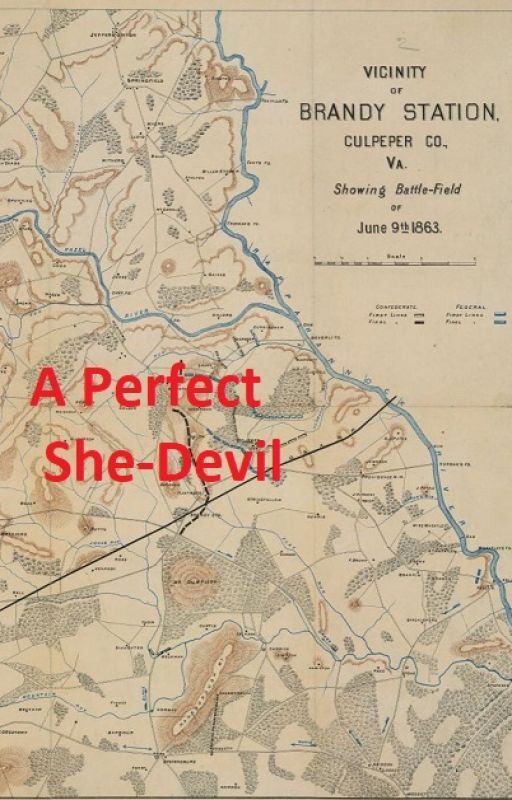 A Perfect She-Devil by Todd172