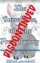 The Snowflake, and The Frost Bunny (A Jelsa fanfict and sequel to The Guardians Get New Members) *DISCONTINUED* by Cool_wierdo13