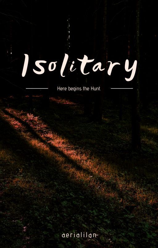 Isolitary (old/unfinished) by aerialilan