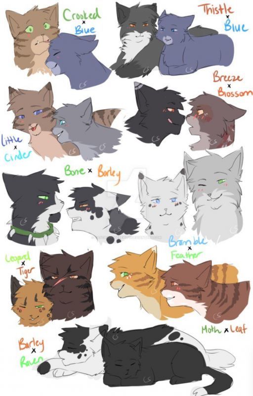 Warrior cat one-shots (closed) by Ilovewarriorcats1016