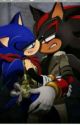 Sonadow Amar A Morir [Finalizada] by arnyms