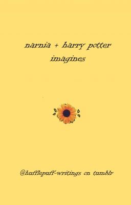 narnia   harry potter imagines cover