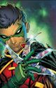 Time Travel (Damian Wayne fanfic) by Keevs27