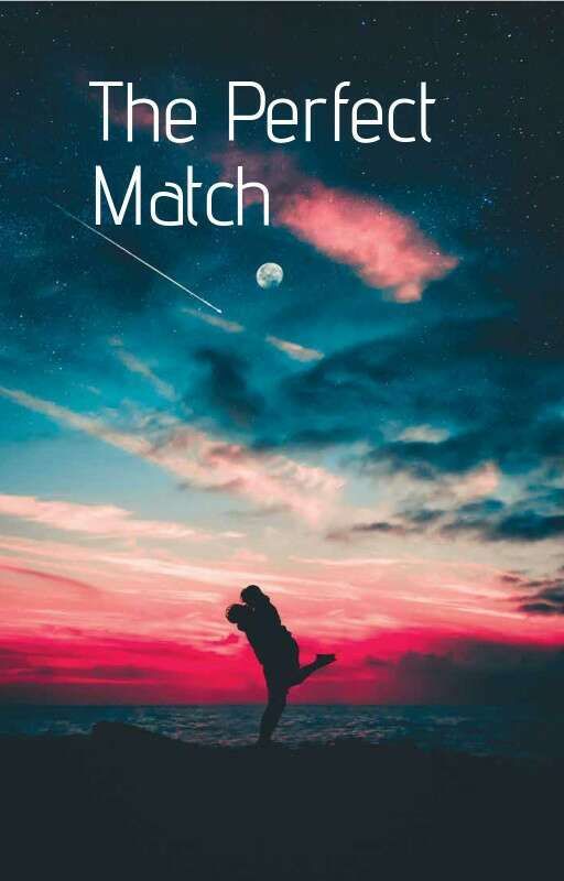 The Perfect Match by lily_rose_