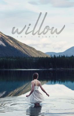 willow » twilight cover