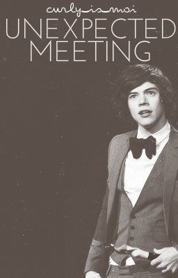 Unexpected Meeting (Harry Styles fanfic) [To be Edited] cover