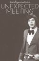 Unexpected Meeting (Harry Styles fanfic) [To be Edited] by Curly_is_Moi