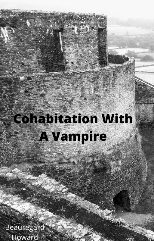 Cohabitation With A Vampire by The_Sarcastic_Dork