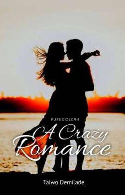 A crazy romance cover