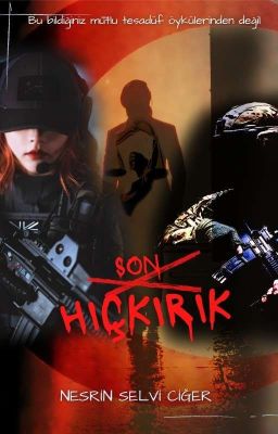 Son Hıçkırık (Savcı ve Komutan güçlü kadın serisi) cover