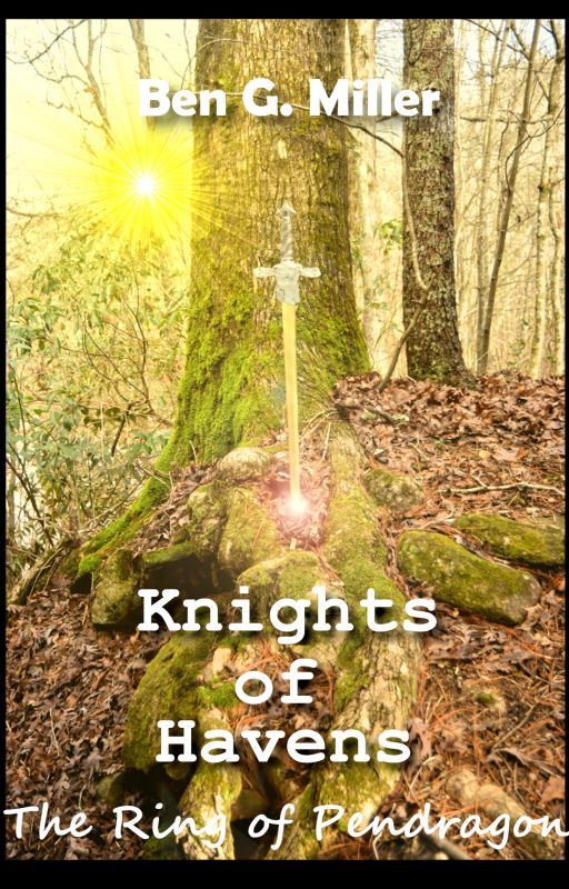 Knights of Havens, The First Knight by NebStorm