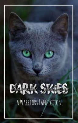  Dark Skies- Book #2 in Sunrise  cover