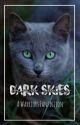  Dark Skies- Book #2 in Sunrise  by Sorrel56