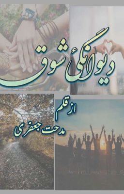 دیوانگیٔ شوق (مکمل ناول) cover