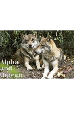 ~ALPHA AND OMEGA~ cover