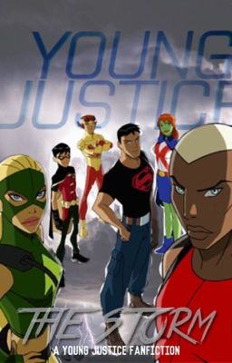 The Storm: A Young Justice FanFiction cover