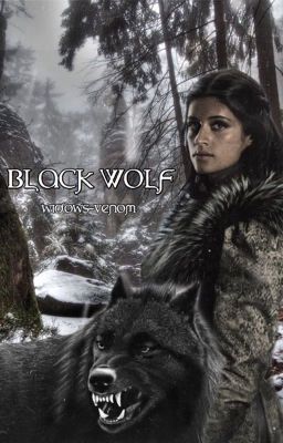 Black Wolf ; Yennefer x Y/n cover