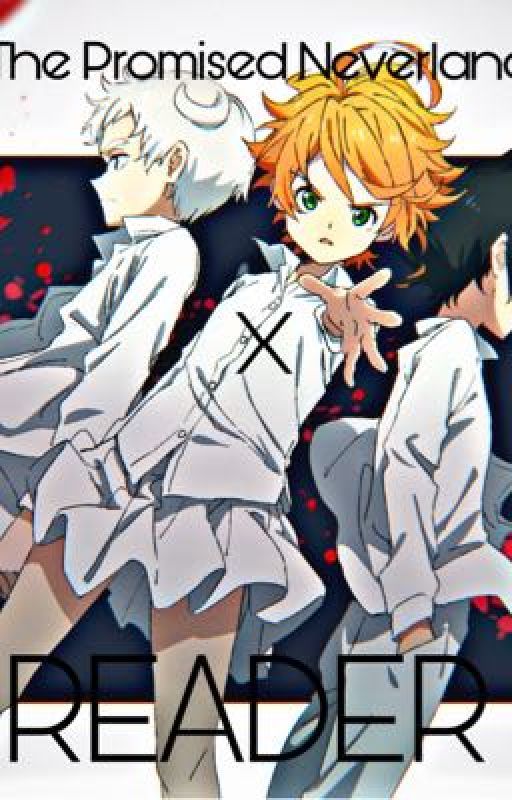 The Promised Neverland x Reader | One shots by Bnhafanhehe