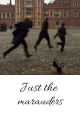 Just the marauders by your_little_crush