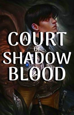 A Court Of Shadow and Blood cover