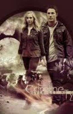 Taroline (Tyler/Caroline) cover