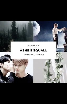 Ashen Squall * Junhui x hybrid!Wonwoo cover